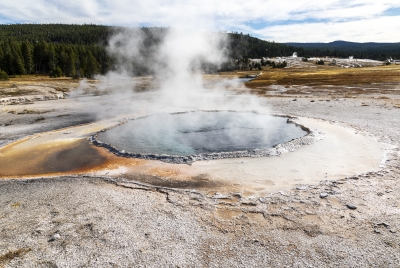 Old Faithful Geyser Area Yellowstone 2024